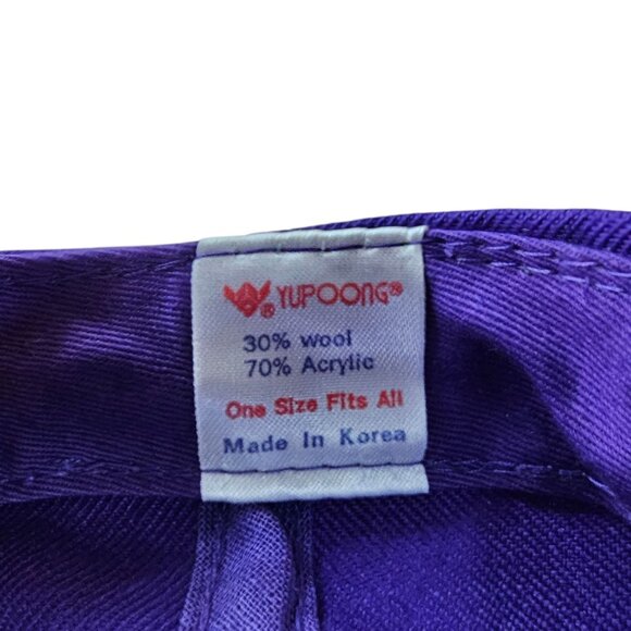 Northern Exposure TV Show Snapback Hat Vintage 1990 Yupoong Cap Trucker Baseball - Picture 8 of 14